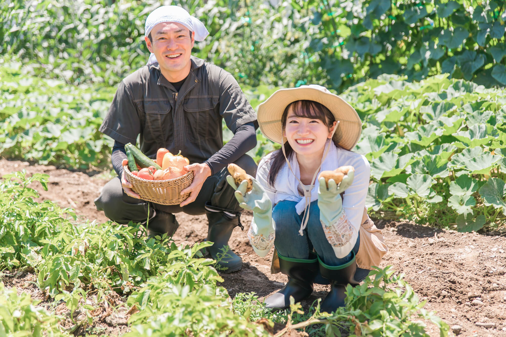 【岐阜県の農家さん必見】農業MEO対策で直売所の集客を倍増させる5つの具体的手順